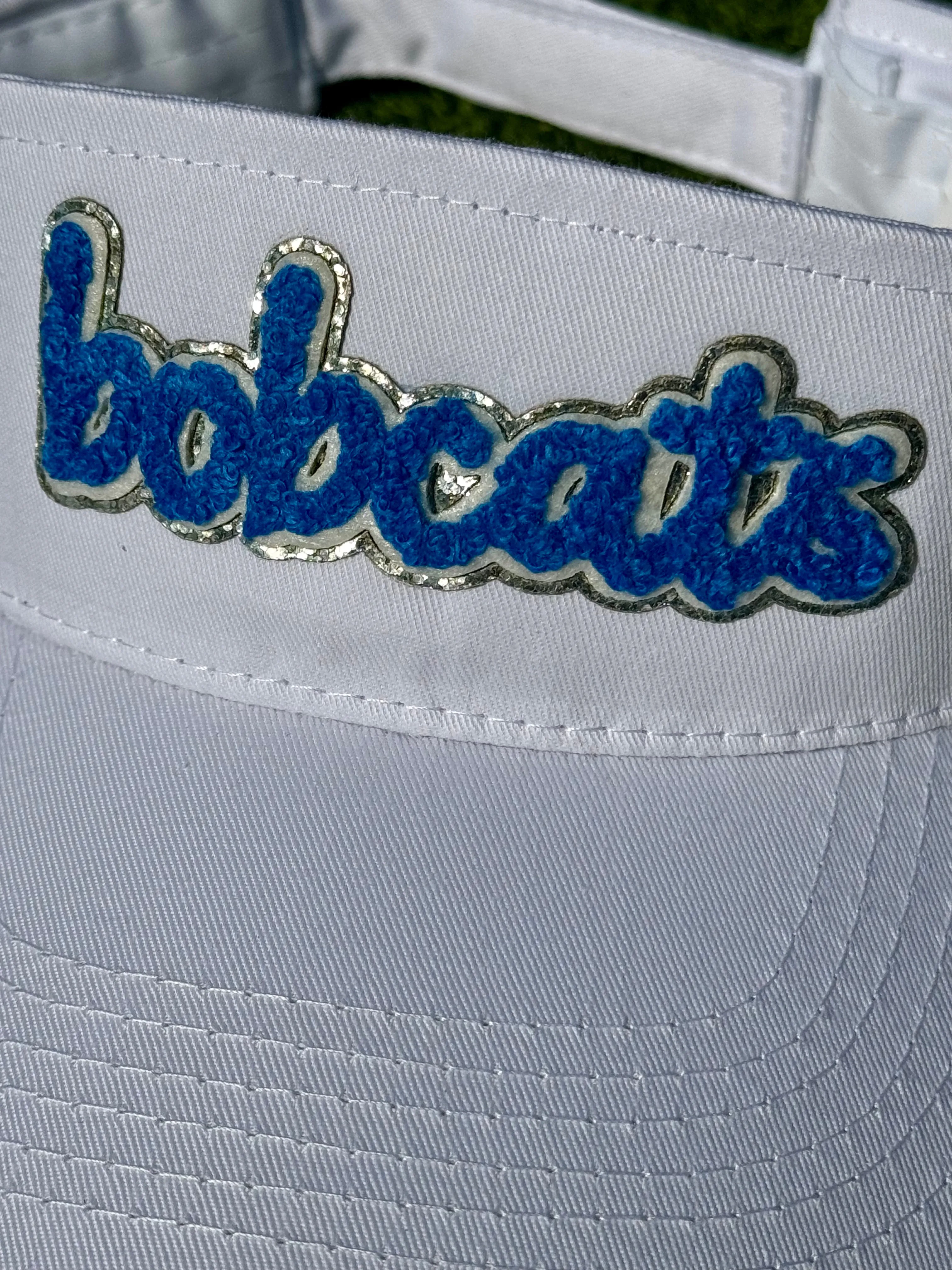 Bobcat Visors